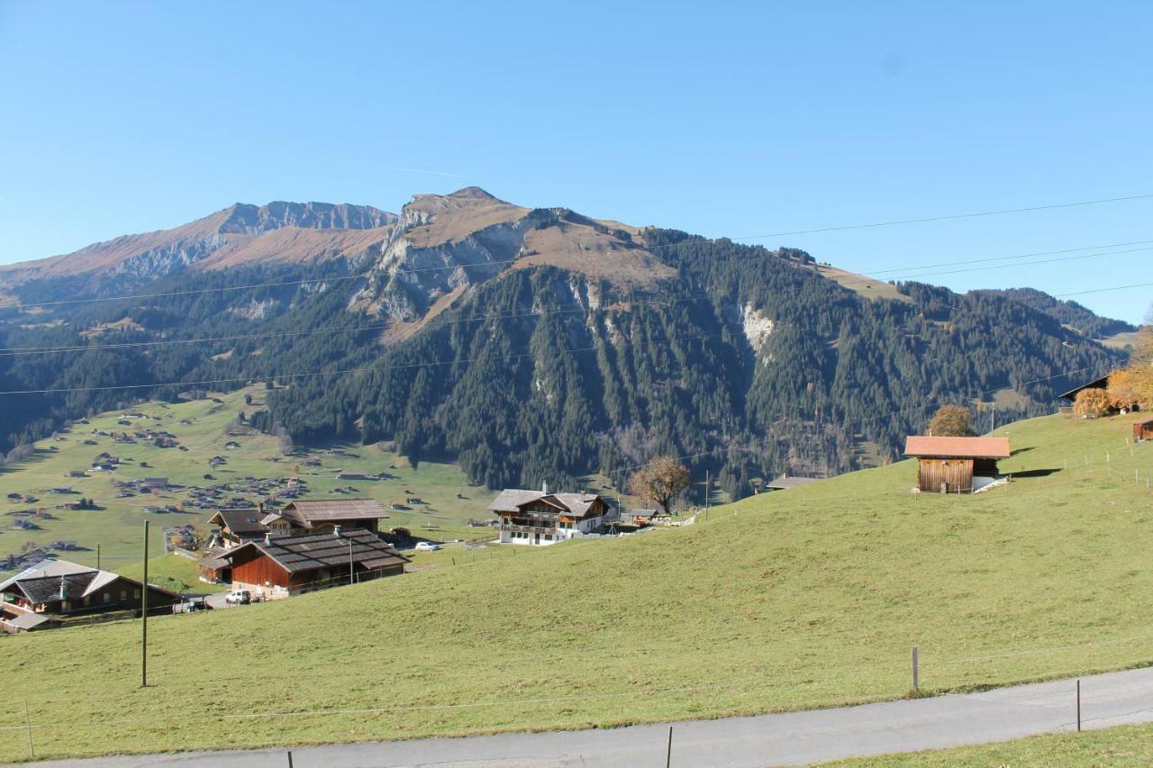 Chalet Weissenberg 렌크 외부 사진